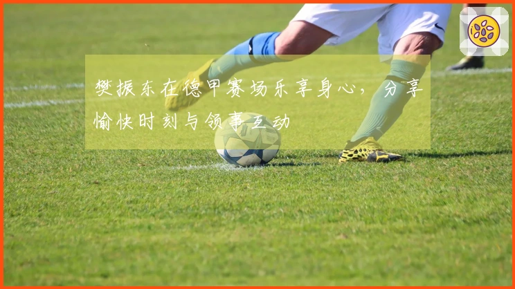 樊振东在德甲赛场乐享身心，分享愉快时刻与领事互动
