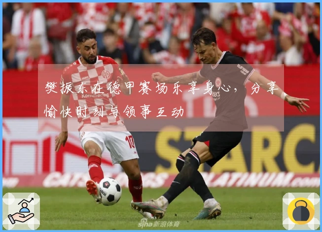 樊振东在德甲赛场乐享身心，分享愉快时刻与领事互动