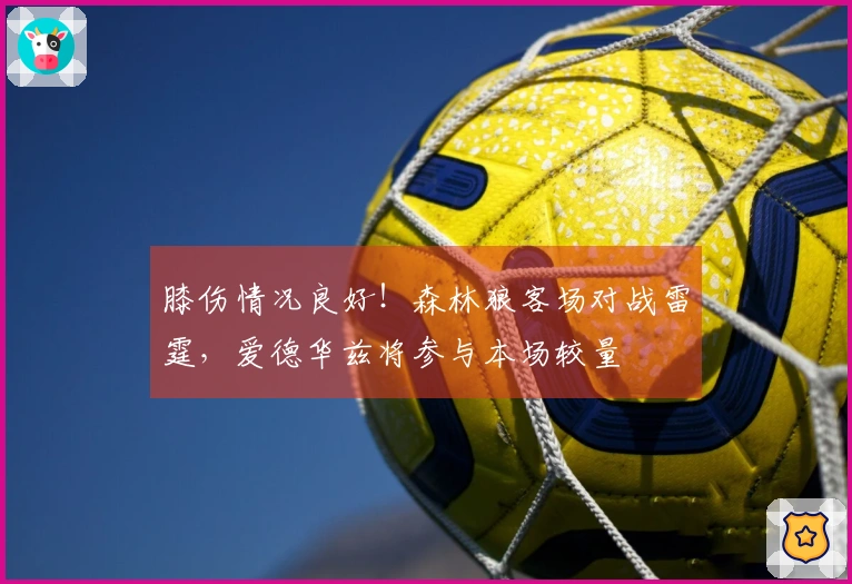 膝伤情况良好！森林狼客场对战雷霆，爱德华兹将参与本场较量